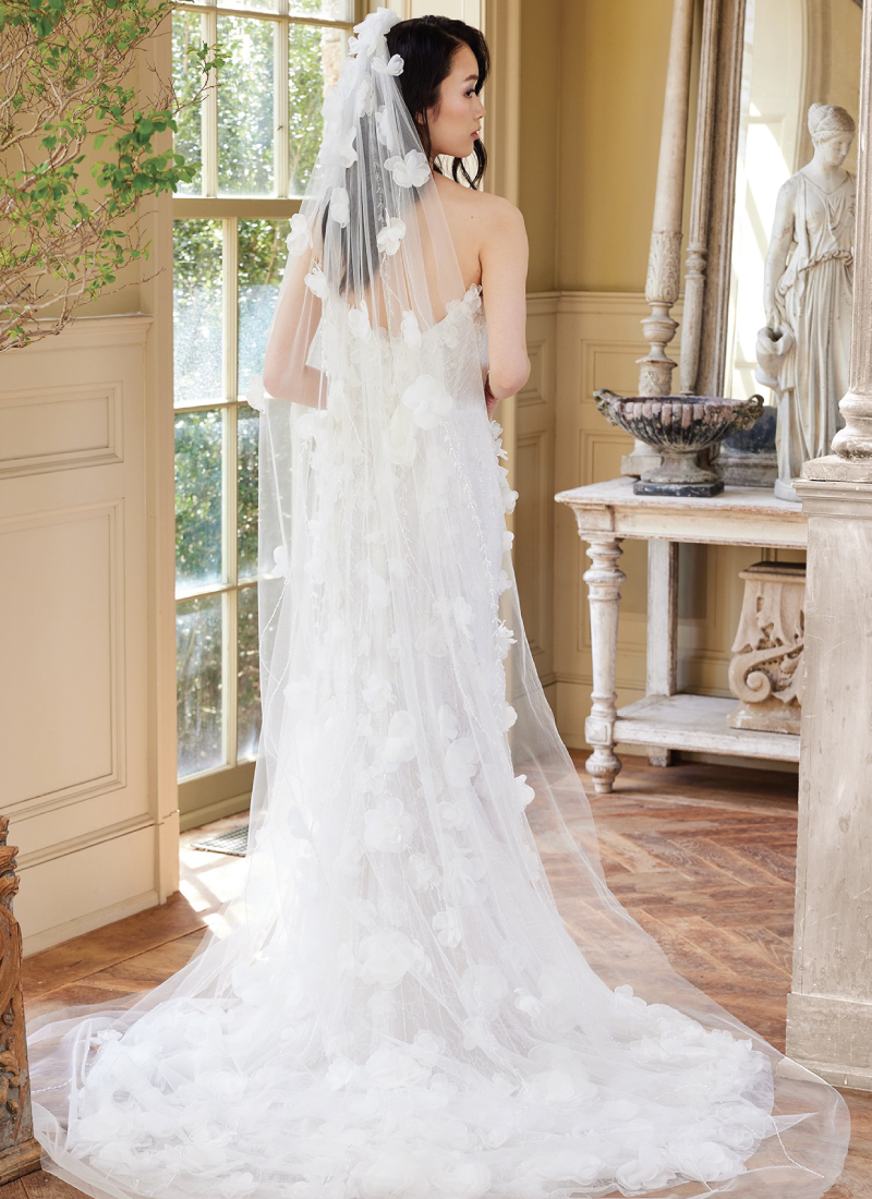 Clover_b_veil